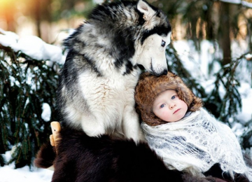 cachorro e criança na neve